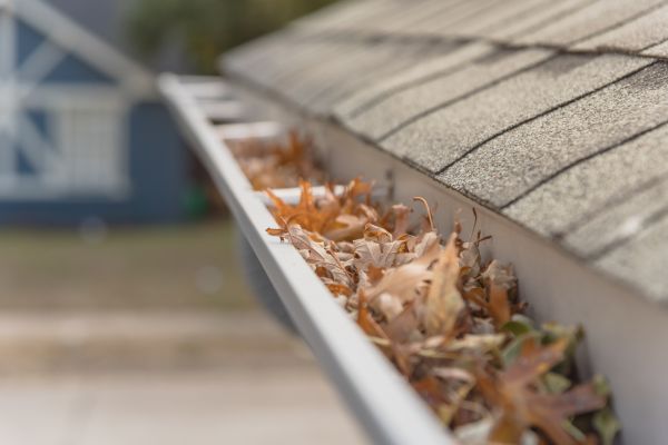 Leaf Barrier Installation in Shelby